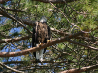 img_5030.jpg